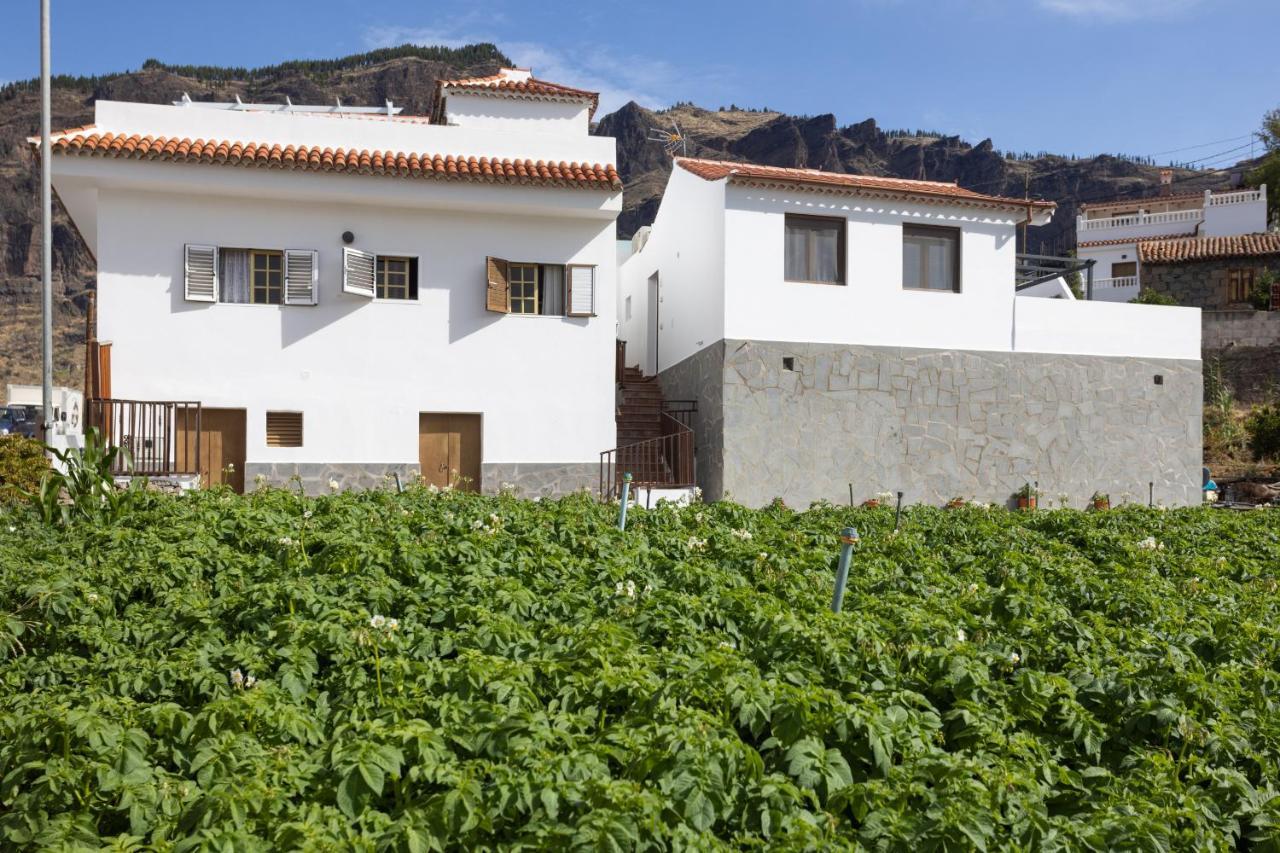 Casa Isabela With Roque Nublo View Apartamento Tejeda  Exterior foto